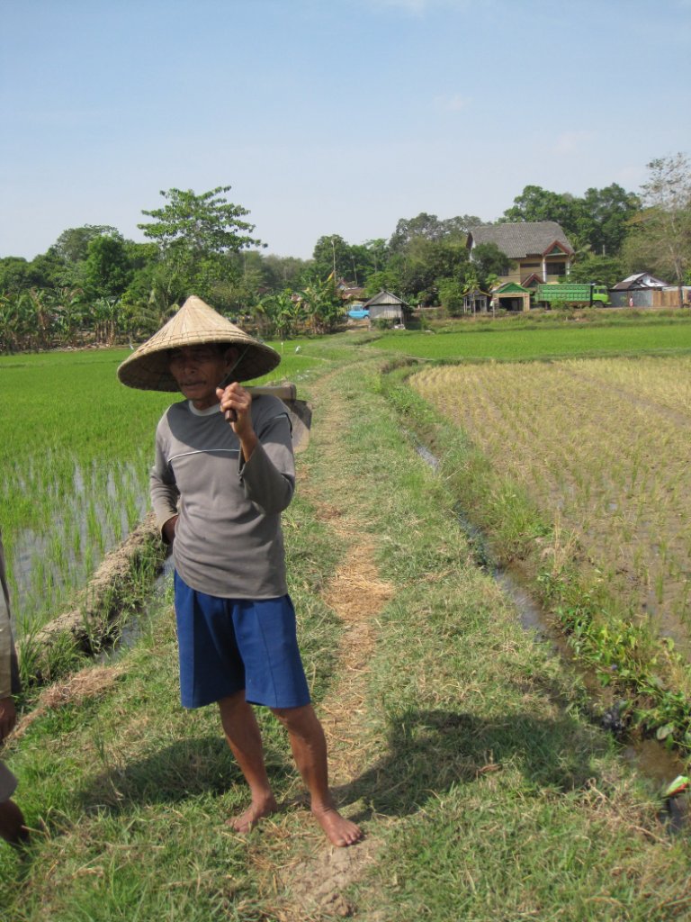 08-Local farmer.jpg - Local farmer